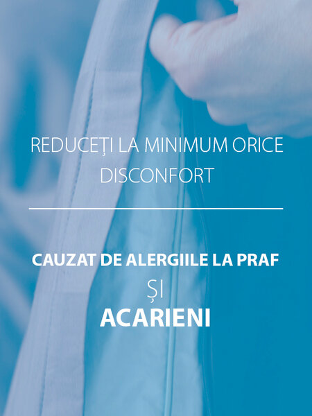 Plapumă puf rață 200x220 FALKETIND călduroasă