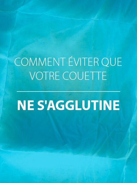 Couette en duvet d'oie 160x210 CANADIAN DREAM extra chaude