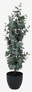 Kunstpflanze RIPA H90cm grüner Eucalyptus