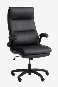 Chaise de bureau professionnelle KASTBJERG noir