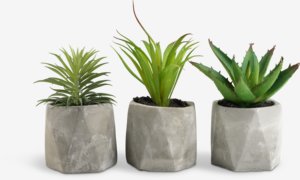 Roślina sztuczna TORGEIR Ś8xW17cm mix