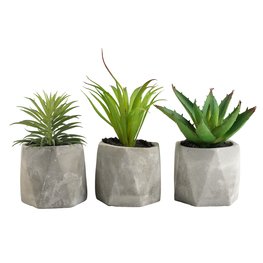 Jysk Kunstplant Torgeir B8Xl8Xh19 Assorti jysk kopen in de aanbieding