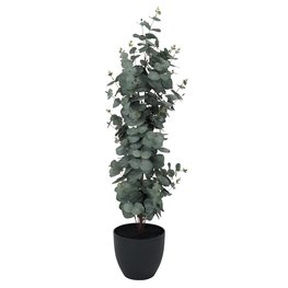 Image of JYSK Kunstpflanze RIPA H90 Eucalyptus