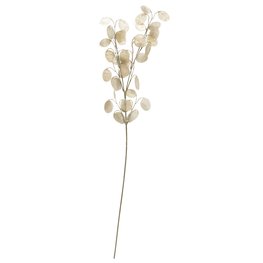 Image of JYSK Kunstblume GREGERT H70cm beige