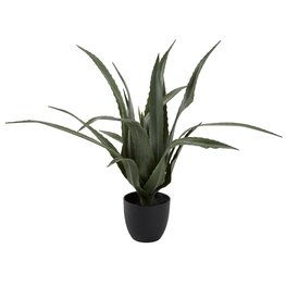 Image of JYSK Kunstpflanze CELIUS H65cm Aloe Vera